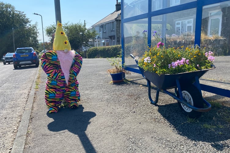 A patient colourful gnome waits for a bus alongside a floral wheelbarrow during the judging for the Bere Alston In Bloom competition.