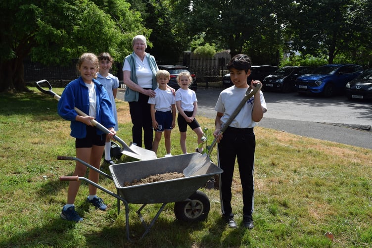 Celia Steven, the great granddaughter of the man who bred the first Bramley apple, plants an apple tree at Bere Alston School with pupils helping.