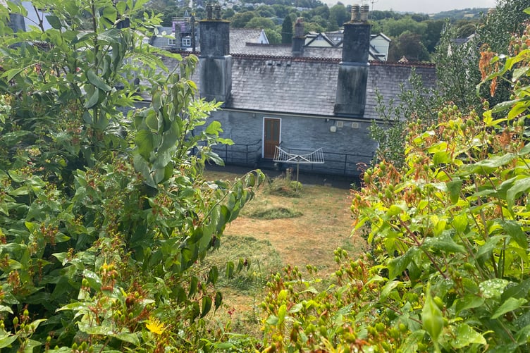 The view of the Maynard Ford Community Housing scheme almshouses from Tony Duke's home in Tavistock.