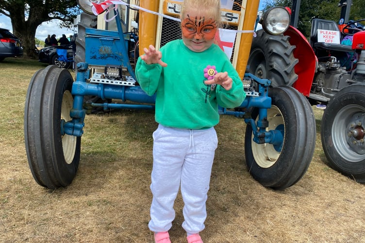 Aurora, 4, gets fierce with her face painted as a tiger at Yelverton Rotary Club free family fun day.