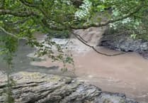 Residents slam Tavy's 'shameful' sewage pollution