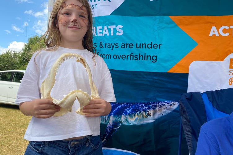Robyn, 10, bites into the fascinating world of sharks at Yelverton Rotary Club's Family Fun Day at Yelverton.