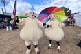 Crowds flock to Chagford Show