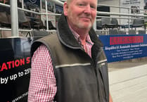Farmers call for subsidised vaccines to end bluetongue heartbreak