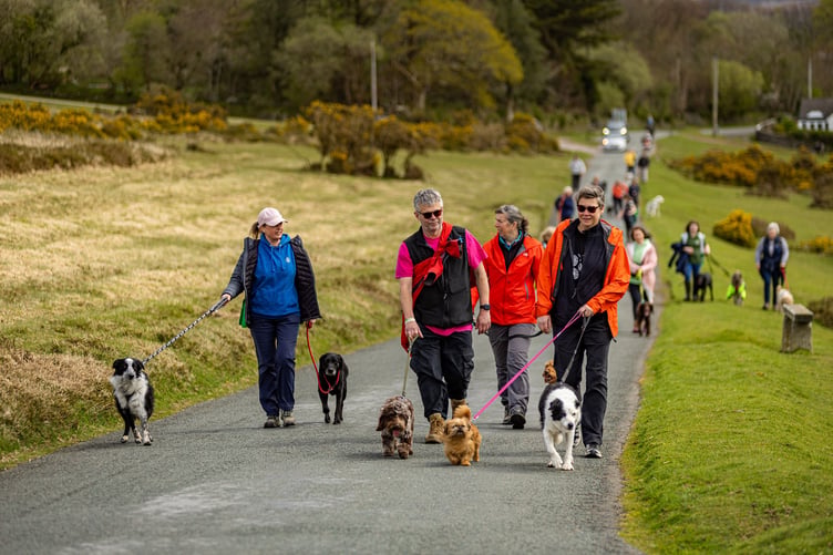 Margaret Green Animal Rescue
