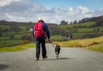 Walkies for Rescue Returns!