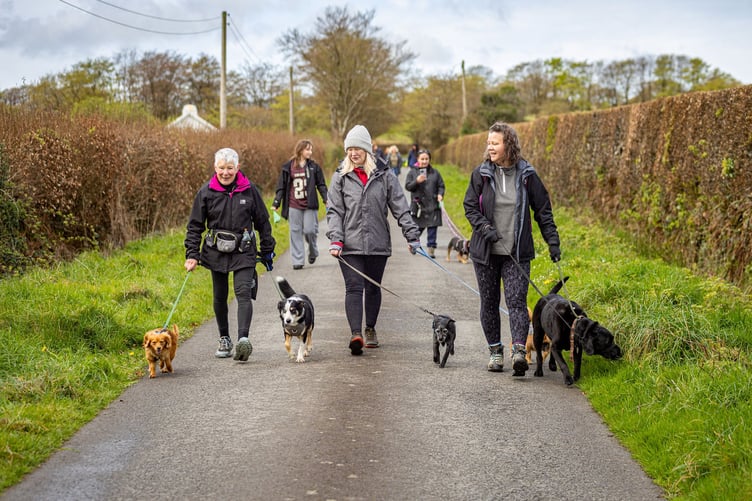 Margaret Green Animal Rescue