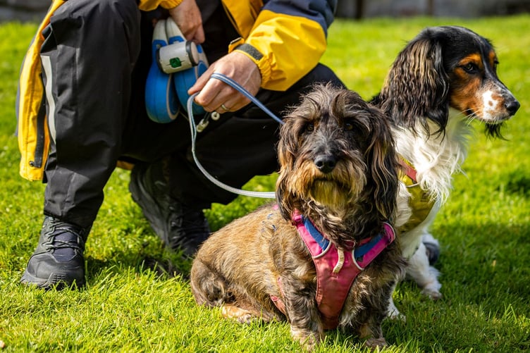 Margaret Green Animal Rescue