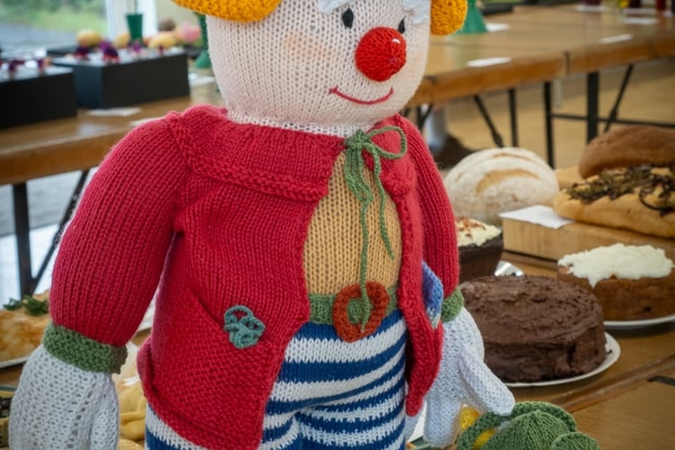 An appealing knitted clown in the crafts section Walkhampton Flower and Produce Show. Picture by Jean Jameson.