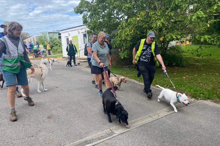 A mass walkies starts off from the Wingletang animal rescue centre. About 70 dogs took part in the Margaret Green sponsored dog walk on Sunday, September 6.