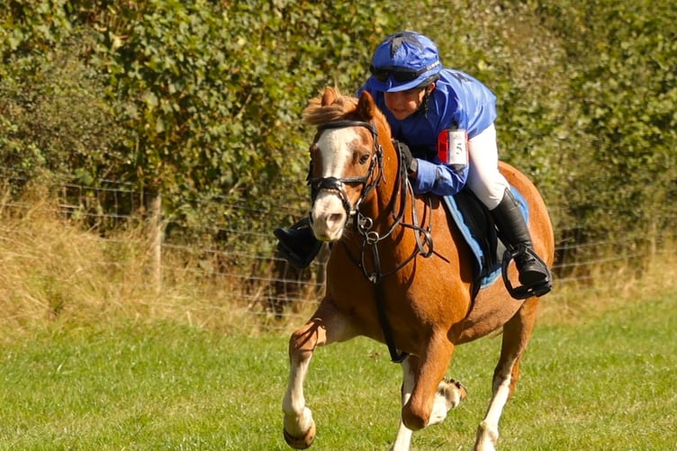 Spooners and West Dartmoor Hunt pony racing at Lamerton. Picture by Chris Cotterell.