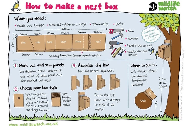 Andrew Brown Nest Boxes
