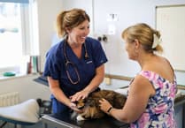 Okehampton vet shares five surprising facts about feline health