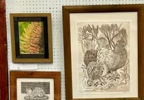 Callout to West Devon artists to exhibit at village hall show
