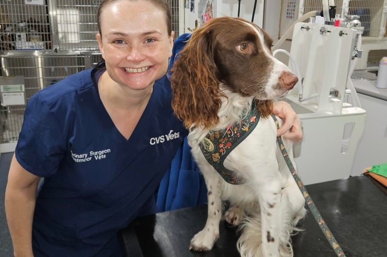 Veterinary surgeon Kristina Chourot, of Westmoor Vets, Tavistock, advising on looking for arthritis in older dogs.