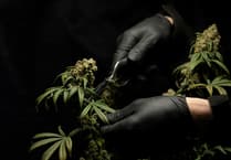 What medical cannabis care looks like in Tavistock