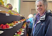 A juicy time offered at Bere Ferrers apple festival