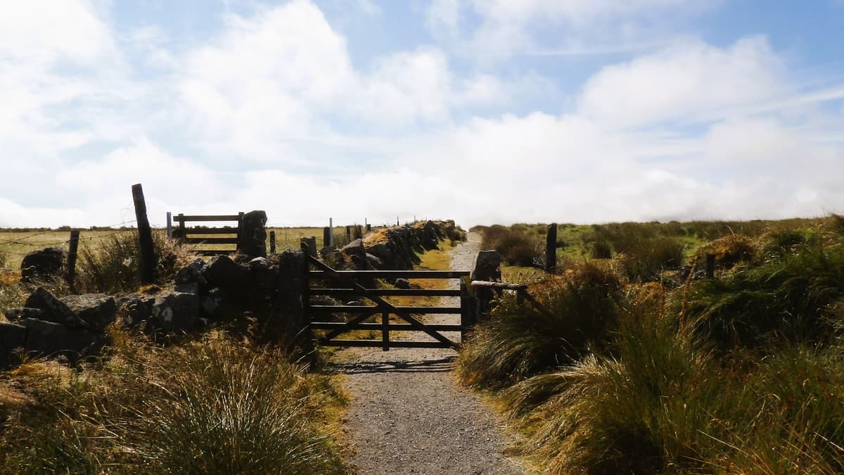 Entdecken Sie die Schönheit von Dartmoor mit dem neuen Abzeichen