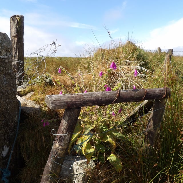 Villagers call for better Dartmoor bus routes 