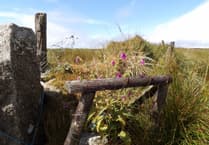 Dartmoor rural residents appeal for bus improvements