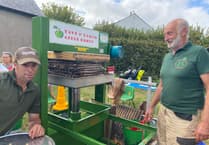 A crunching, 'apeeling', juicing time at Bere Ferrers apple fest