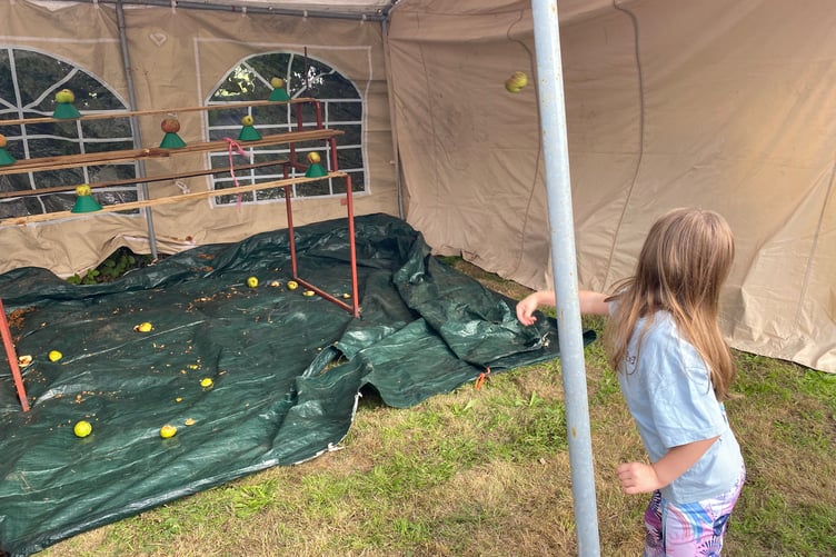 A young girl throws at an 'apple shy' at Bere Apple Fest.