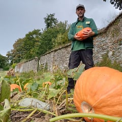 Half-term witchy walks and spooky stories