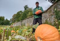 National Trust SW half-term witchy walks and spooky stories