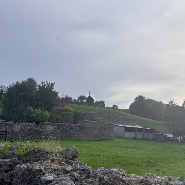 Vertical farm planned for old wool factory site