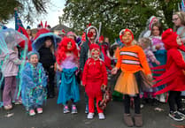 Pictures: Okehampton Carnival is a glowing success