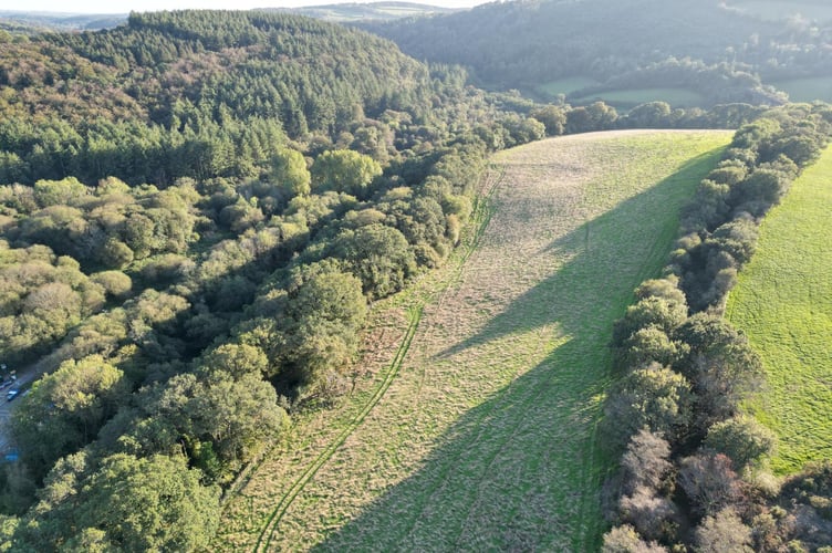 An aerial view of one of the fields which West Devon Borough council is turning into a woodland