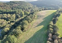 Mandy Ewings: New community woodland is growing a legacy for future generations