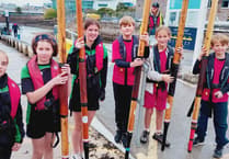 Cotehele junior rowers excel in championships