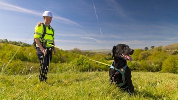 Water company unleashes leak busting dogs
