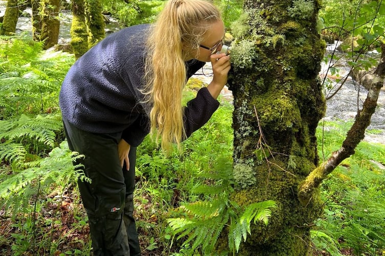 Artist Sarah Burt and botanist April Windle explored lichen as inspiration for their Christmas calendars sold in Princetown in aid of river environment preservation.
