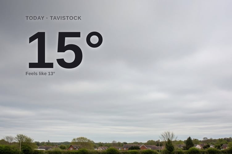 Tavistock weather: cloudy Wednesday with minimal rain and a high of around 14°C