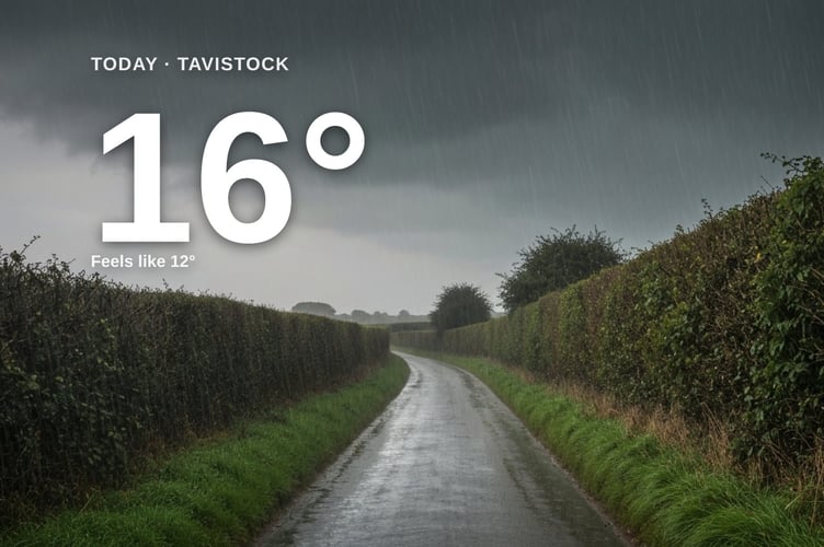 Tavistock weather: heavy rain Saturday with rain expected and a high of 15°C