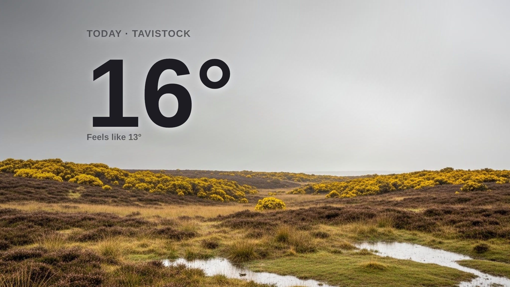 Heavy rain on the way for Tavistock - here's your Monday forecast