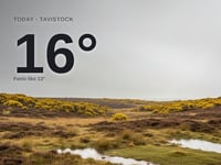 Tavistock: rainy day, high of 16°C