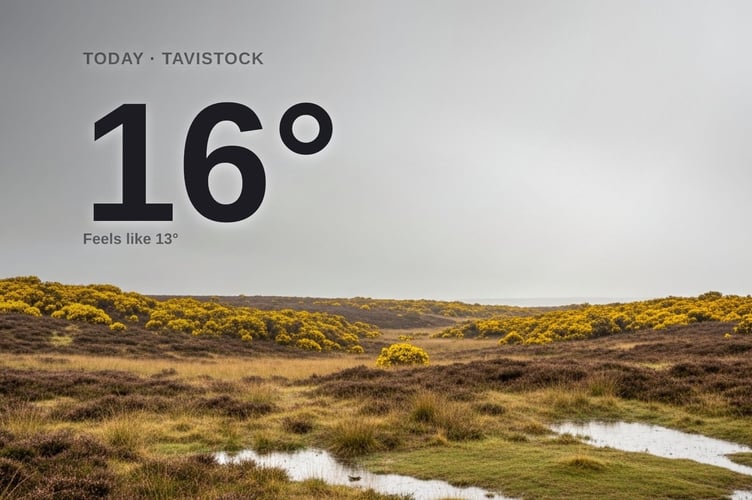 Tavistock weather: rainy Monday with heavy rain and a high of 16°C