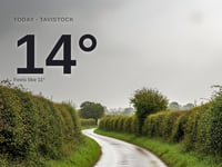 Tavistock: rainy day, high of around 13°C