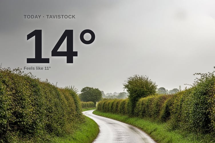 Tavistock weather: cloudy Tuesday with minimal rain and a high of 13°C