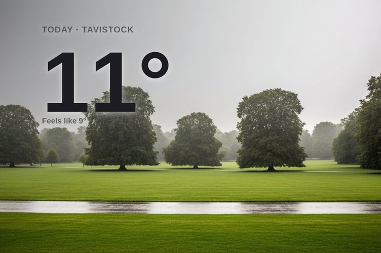 Tavistock weather: rainy Friday with heavy rain in the morning and a high of 11°C