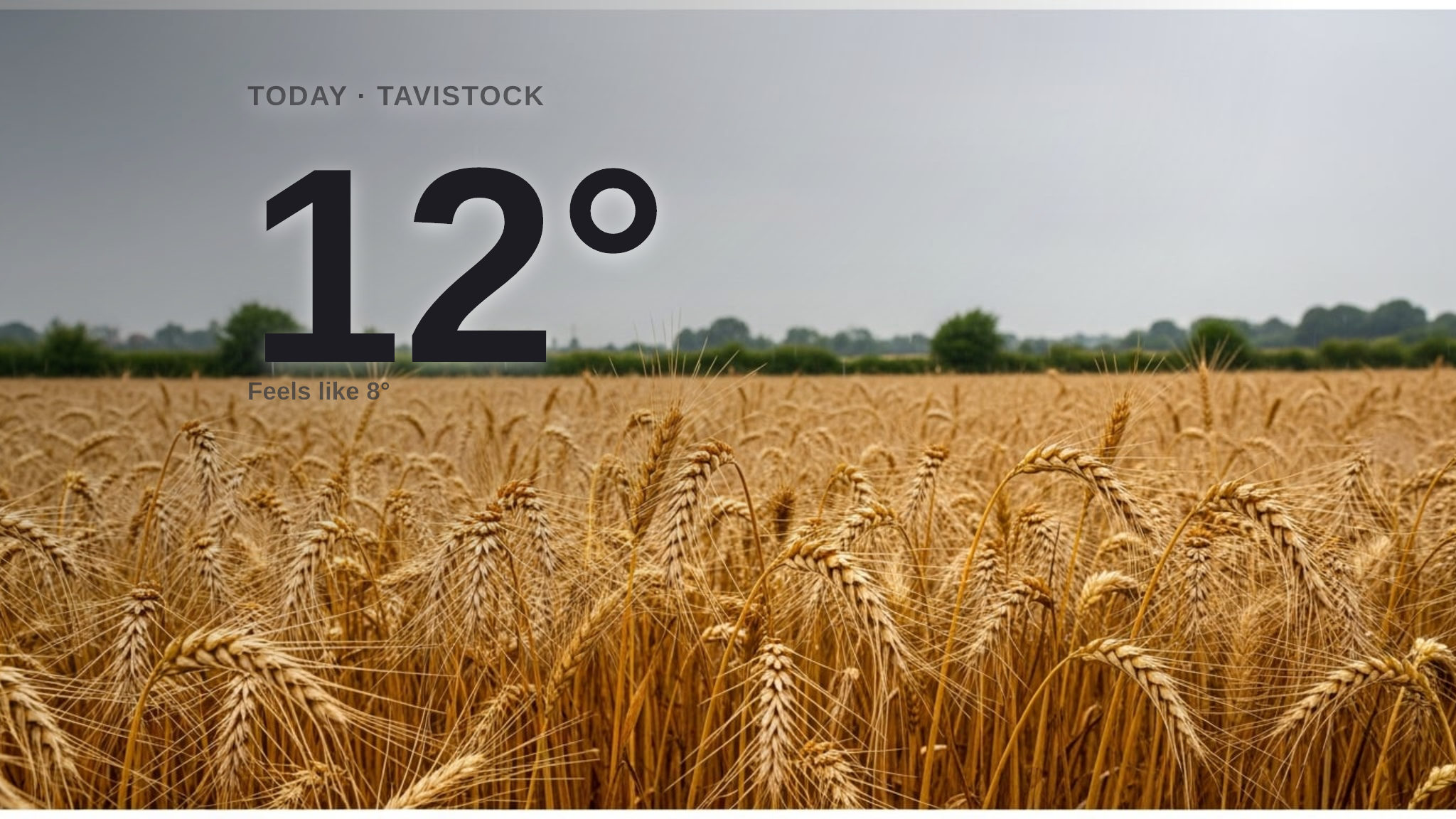 Rainy Wednesday for Tavistock - here's your forecast for the day ahead