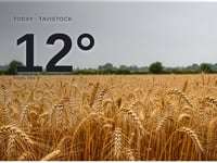 Tavistock: rainy day, high of around 12°C