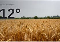 Rainy Wednesday for Tavistock - here's your forecast for the day ahead