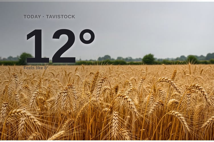Tavistock weather: rainy Wednesday with rain expected and a high of around 12°C