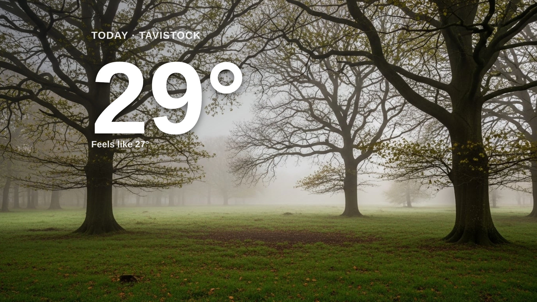 Misty skies for Tavistock today - here's what to expect