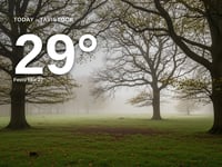 Tavistock: misty day, high of 29°C