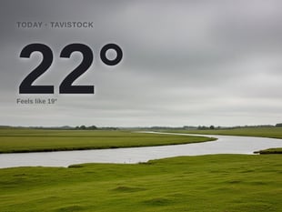 Tavistock: overcast day, high of 22°C